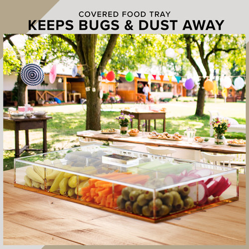 Latitude Run® Cagnie Rectangular Divided Serving Dish & Acrylic Tray Platter Wayfair